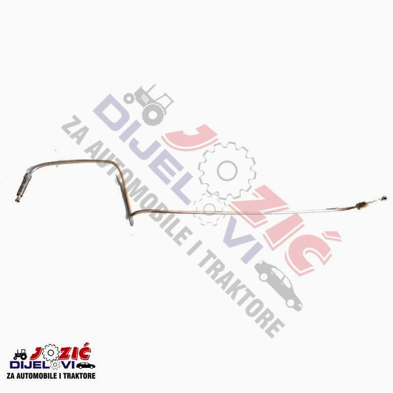 Daisy on the Ohoopee